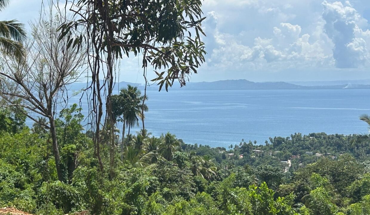 WhatsApp Image 2025-12-12 at 8.00.53 PM (1)