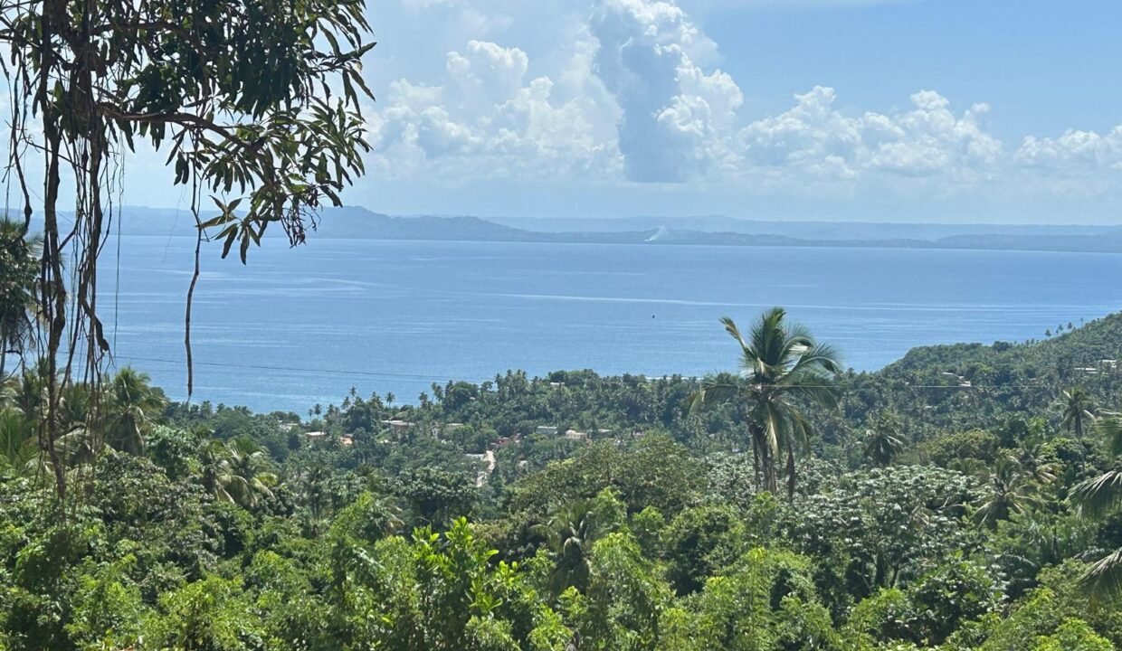 WhatsApp Image 2025-12-12 at 8.00.57 PM