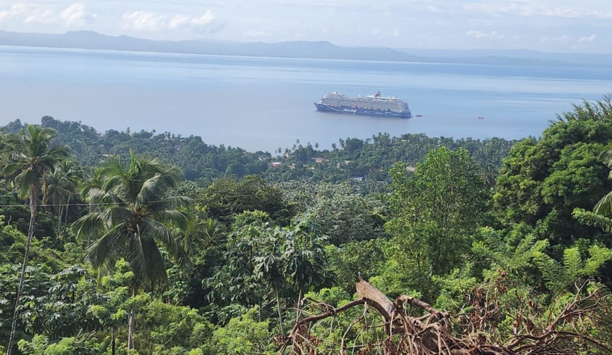 WhatsApp Image 2025-12-12 at 8.00.58 PM