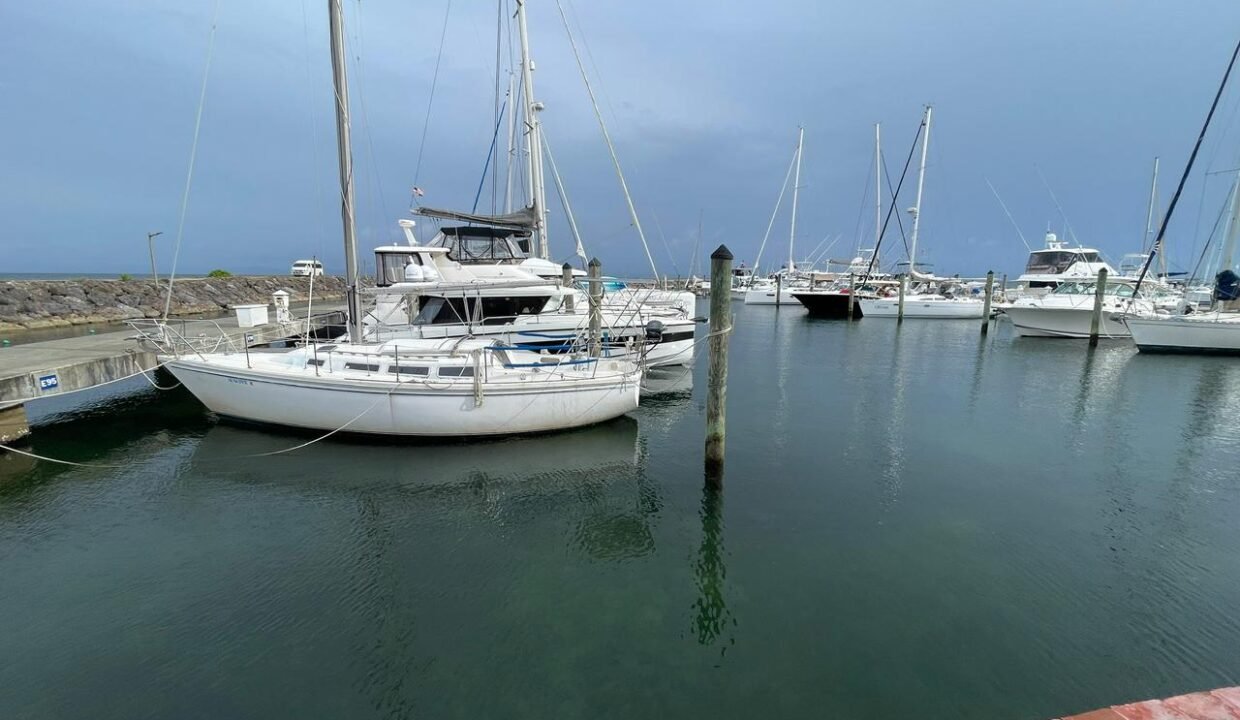 259cec80-9f89-4b80-9888-888516906071