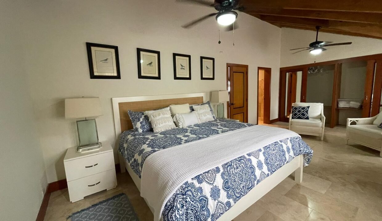 92aebe02-9d4d-497d-b50d-cfac827ca0f8